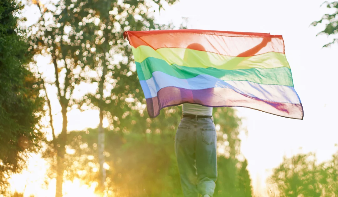 L’homosexualité en Andorre : situation, droits et réalités