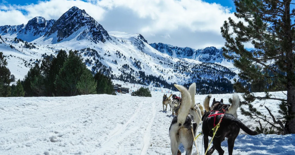 Chiens de traîneaux en Andorre